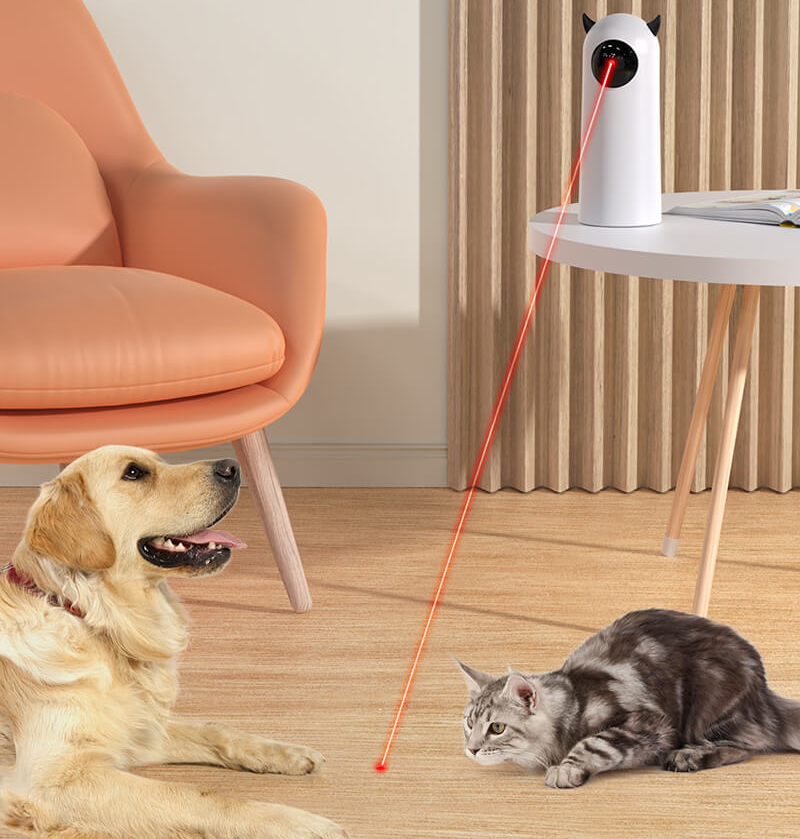 Laser-Spielzeug für Katzen, interaktiv und automatisch, ideal für Haustiere. Fördert Bewegung und Spaß für Katzen und Hunde im Wohnzimmer.