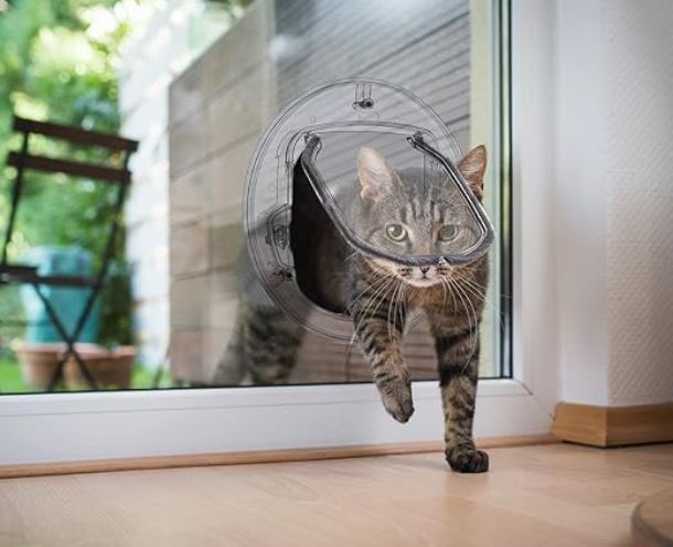 Getigerte Katze durch Katzentür in modernem Zuhause. Haustier, Katzenklappe, Innenraum, Tierfreundlich, Katzenliebhaber, Heimtierbedarf.