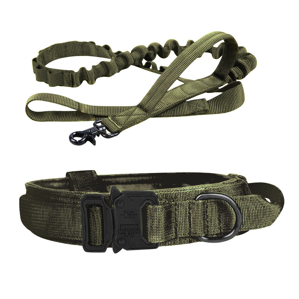 Grünes Hundehalsband und Leine Set, robustes Nylon, verstellbar, für Outdoor-Aktivitäten.