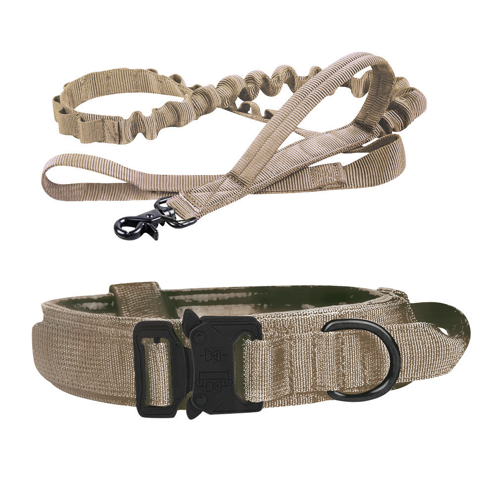 Beiges Hundehalsband und Leine Set, robustes Nylon, verstellbar, für Hundeausbildung.
