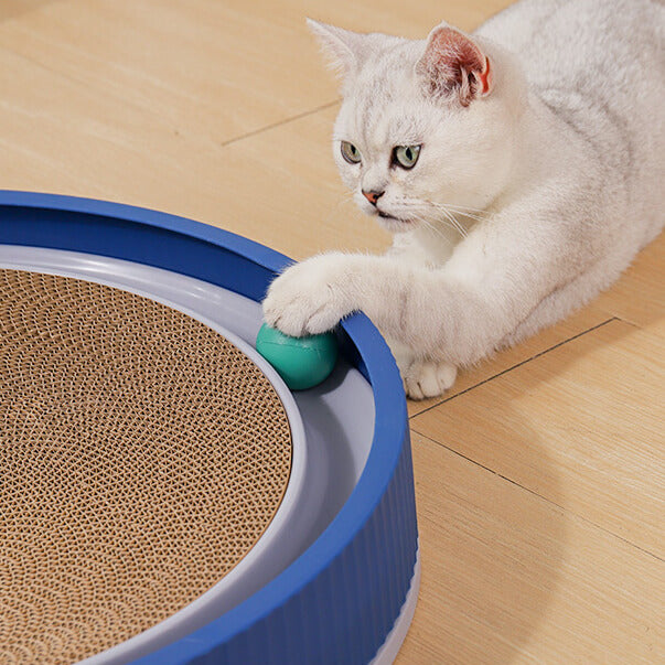 Weißer Kater spielt mit interaktivem Katzenspielzeug, Kratzbrett und Ball. Perfekt für Katzenunterhaltung und Krallenpflege.