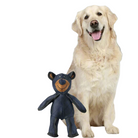 Golden Retriever mit robustem Hundespielzeug in Bärenform. Perfektes Kauspielzeug für Hunde, langlebig und ideal für interaktives Spielen.