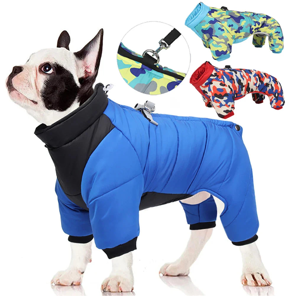 Französische Bulldogge in blauem Hundemantel, wasserdicht, warm, mit Camouflage-Optionen. Perfekt für kaltes Wetter, stilvoll und funktional.