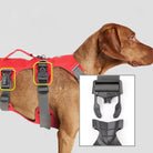 Rotes Hundegeschirr mit robusten Schnallen, verstellbaren Gurten und ergonomischem Design für optimalen Komfort und Sicherheit beim Gassigehen.