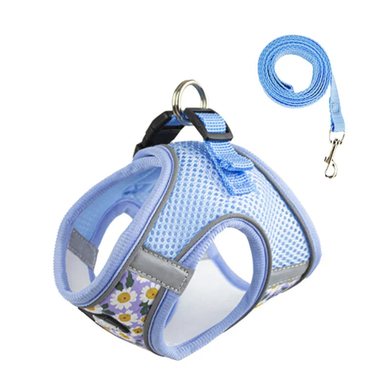 Hellblaues Hundegeschirr mit Leine, atmungsaktives Mesh, Blumenmuster, für kleine Hunde.