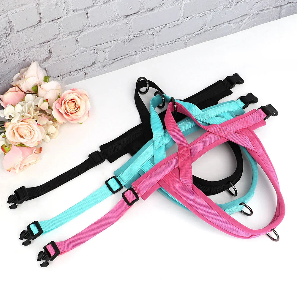 Bunte Hundegeschirre aus Nylon, verstellbar, in Pink, Türkis und Schwarz auf weißem Hintergrund.