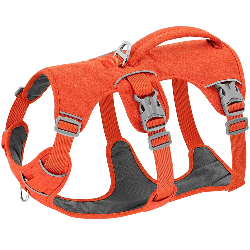 Orange Hundegeschirr, verstellbar, robust, mit Metallverschlüssen, ideal für Outdoor-Aktivitäten.