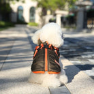 Kleiner weißer Hund in modischer, schwarzer Hundejacke mit orangefarbenen Akzenten auf sonnigem Gehweg. Hundebekleidung, Haustiermode, Outdoor.