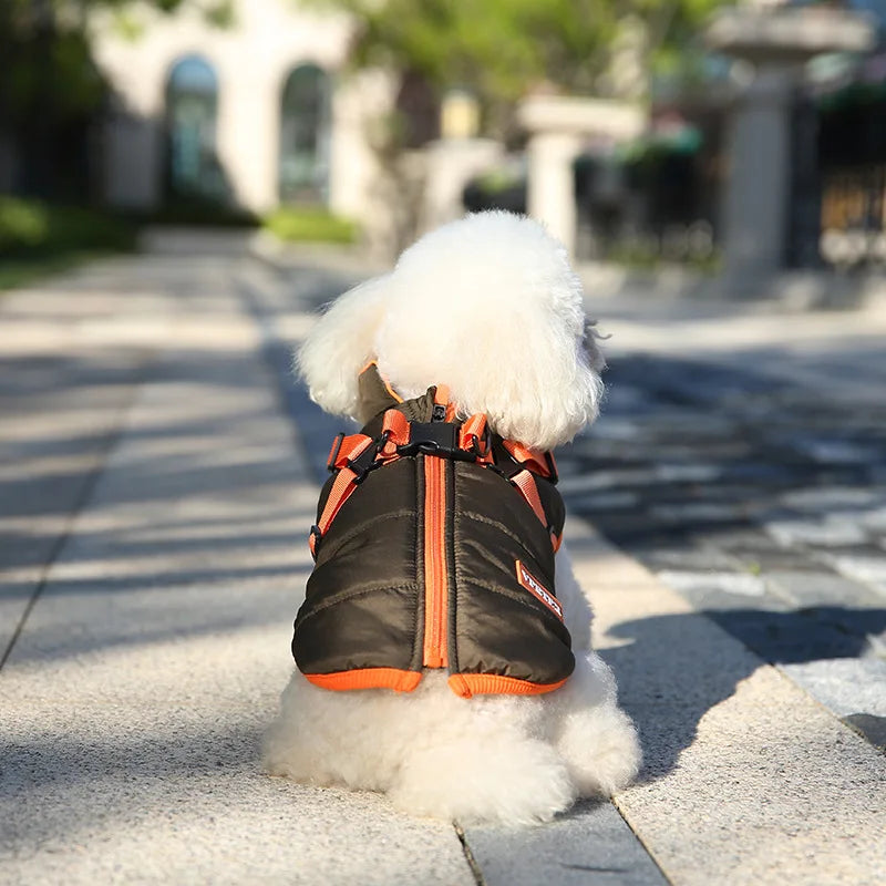 Kleiner weißer Hund in modischer, schwarzer Hundejacke mit orangefarbenen Akzenten auf sonnigem Gehweg. Hundebekleidung, Haustiermode, Outdoor.