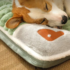 Schlafender Hund auf grün-grauem Plüsch-Hundebett mit Herzmotiv, bequemes Haustierbett.