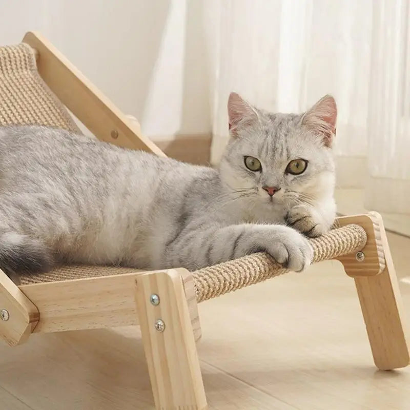 Graue Katze auf Holz-Katzenbett, Kratzmöbel, gemütlich, modernes Design, Innenraum.