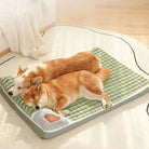 Zwei Hunde schlafen auf grünem, gepolstertem Hundebett im Wohnzimmer.