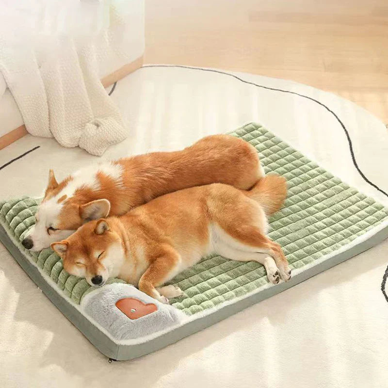 Zwei Hunde schlafen auf grünem, gepolstertem Hundebett im Wohnzimmer.