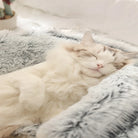 Schlafende Katze in weichem, grauem Plüschbett, gemütlich und entspannt.