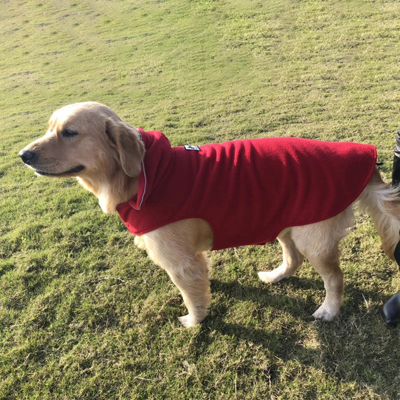 Golden Retriever im roten Hundemantel auf grünem Rasen. Hundebekleidung, Haustiermode, Outdoor-Hundejacke, stilvoller Hundemantel.