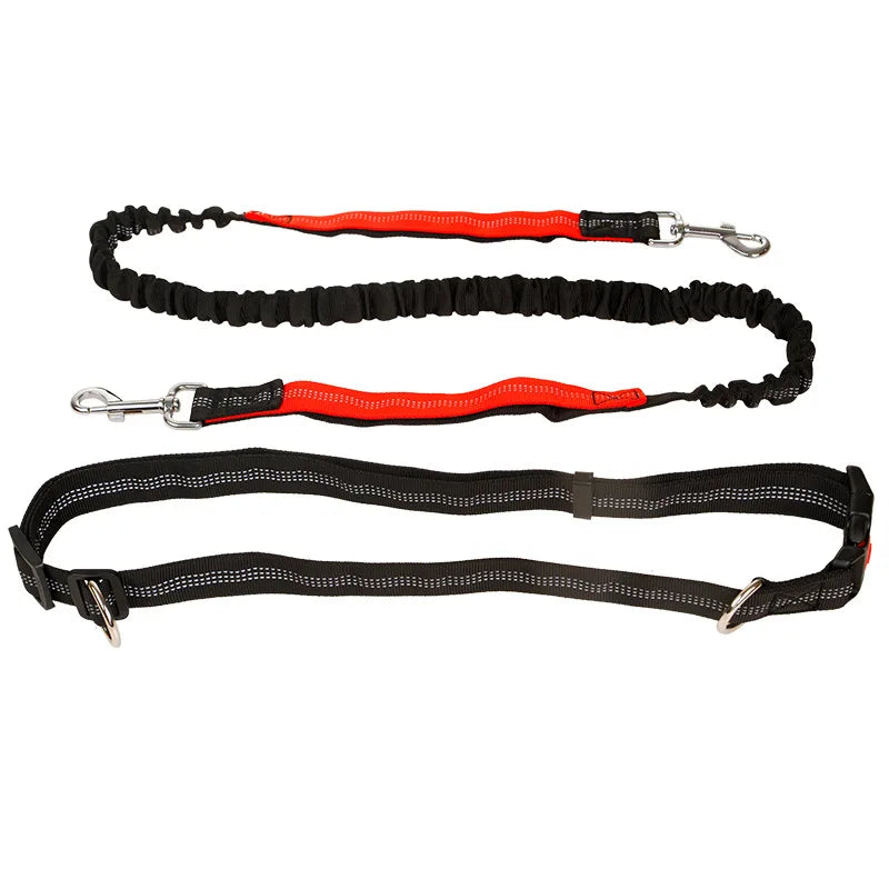 Schwarze und rote Hundeleine mit elastischem Bungee, reflektierend, für Outdoor-Aktivitäten.
