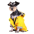 Süßer Hund im gelben Regenmantel, ideal für nasses Wetter. Perfekte Hundebekleidung, um Ihren Vierbeiner trocken und stilvoll zu halten.