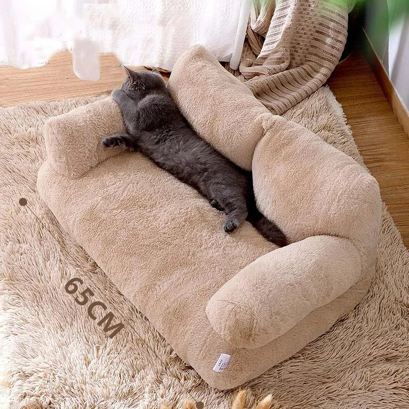 Graues Kätzchen auf beigem, plüschigem Katzenbett, 65 cm, auf Teppich im Wohnzimmer.