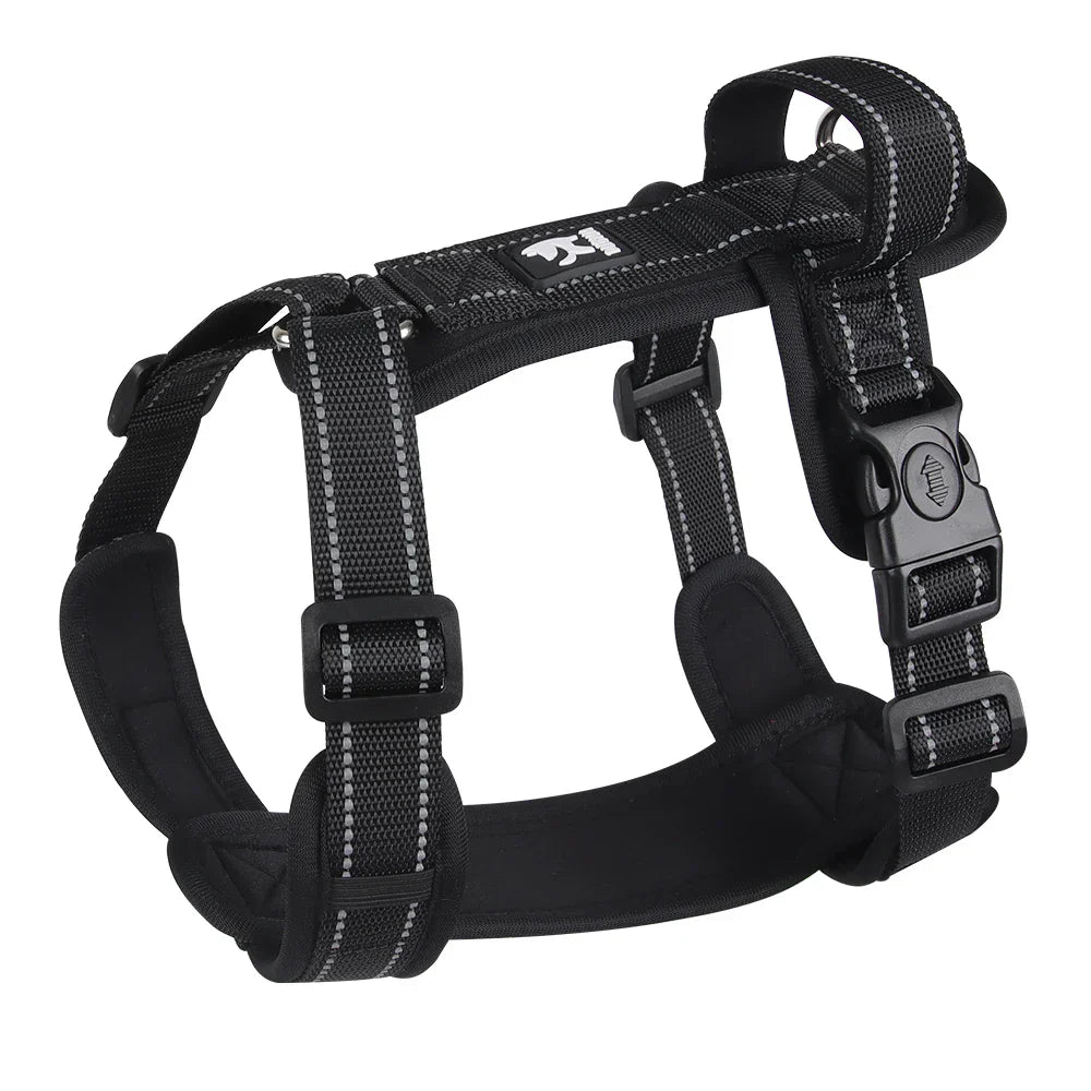 Schwarzes Hundegeschirr, verstellbar, reflektierend, robustes Nylon, für sicheres Gassigehen.