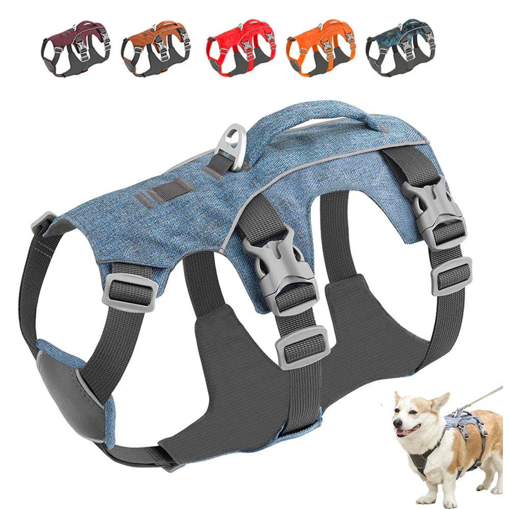 Hundegeschirr aus Nylon in Blau, verstellbar, mit Sicherheitsverschluss, für kleine bis große Hunde.