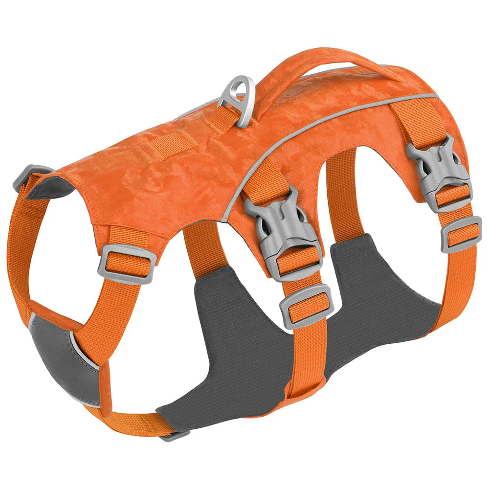 Orange Hundegeschirr mit reflektierenden Streifen, verstellbaren Gurten und robusten Schnallen.