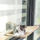 Katze auf Fenster-Hängematte, beige, mit Saugnäpfen, idealer Katzenliegeplatz, Fensterbank.