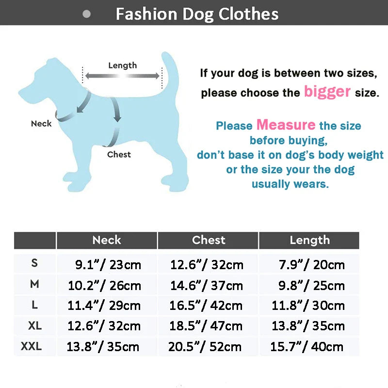 Größentabelle für modische Hundekleidung: Messen Sie Hals, Brust und Länge. Erhältlich in Größen S bis XXL. Perfekt für stilvolle Hunde.