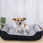 Kleiner Hund in grauem Hundebett, gemütlich, Haustierbedarf, bequem, Wohnzimmer.