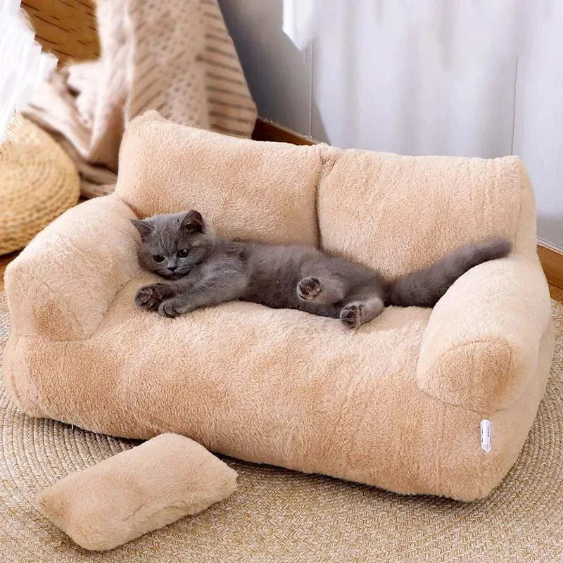 Graue Katze auf beigem Plüschsofa für Haustiere, gemütlich, Katzenbett, Wohnzimmer.