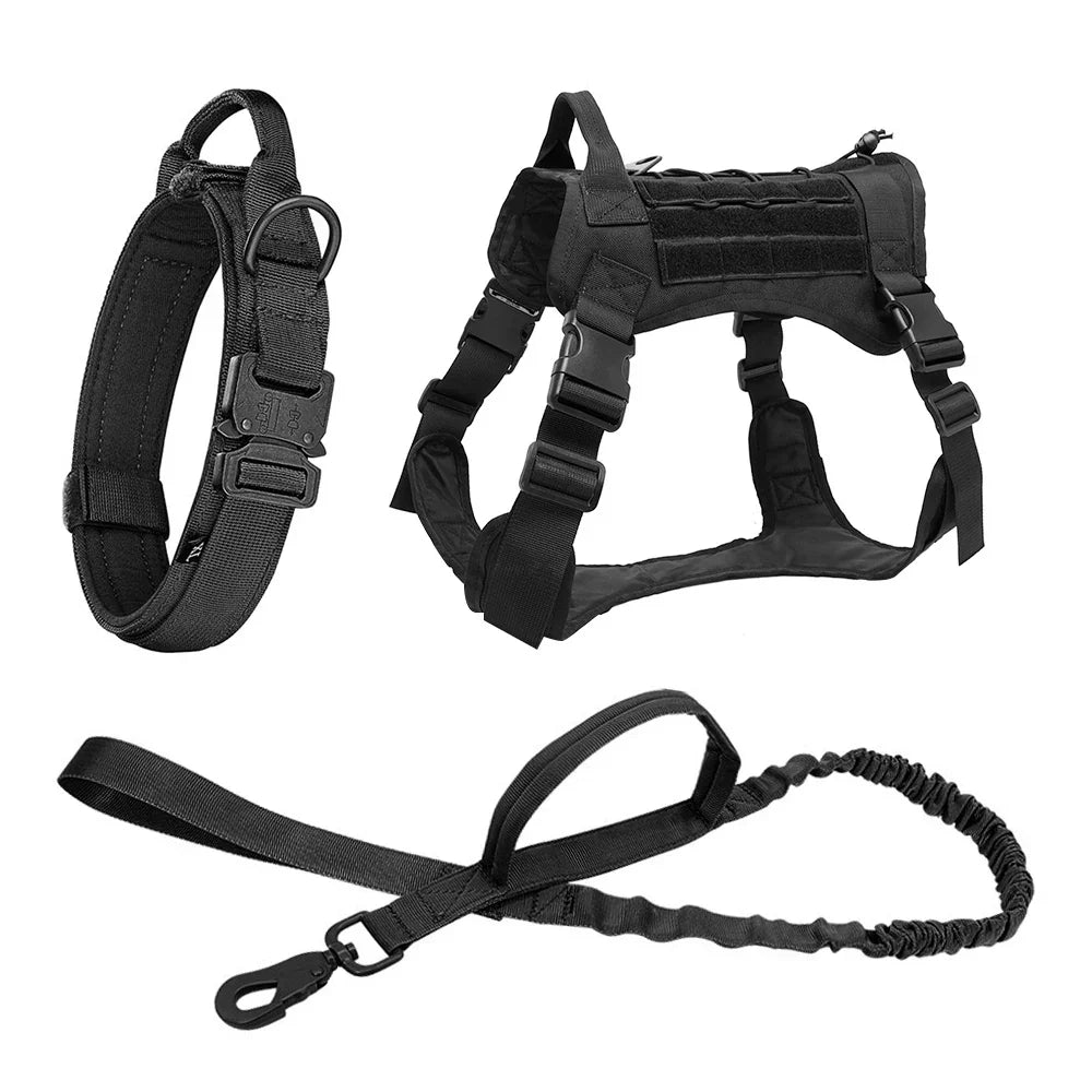 Schwarzes Hundegeschirr-Set mit Leine und Halsband, verstellbar, robust, für Outdoor-Aktivitäten.