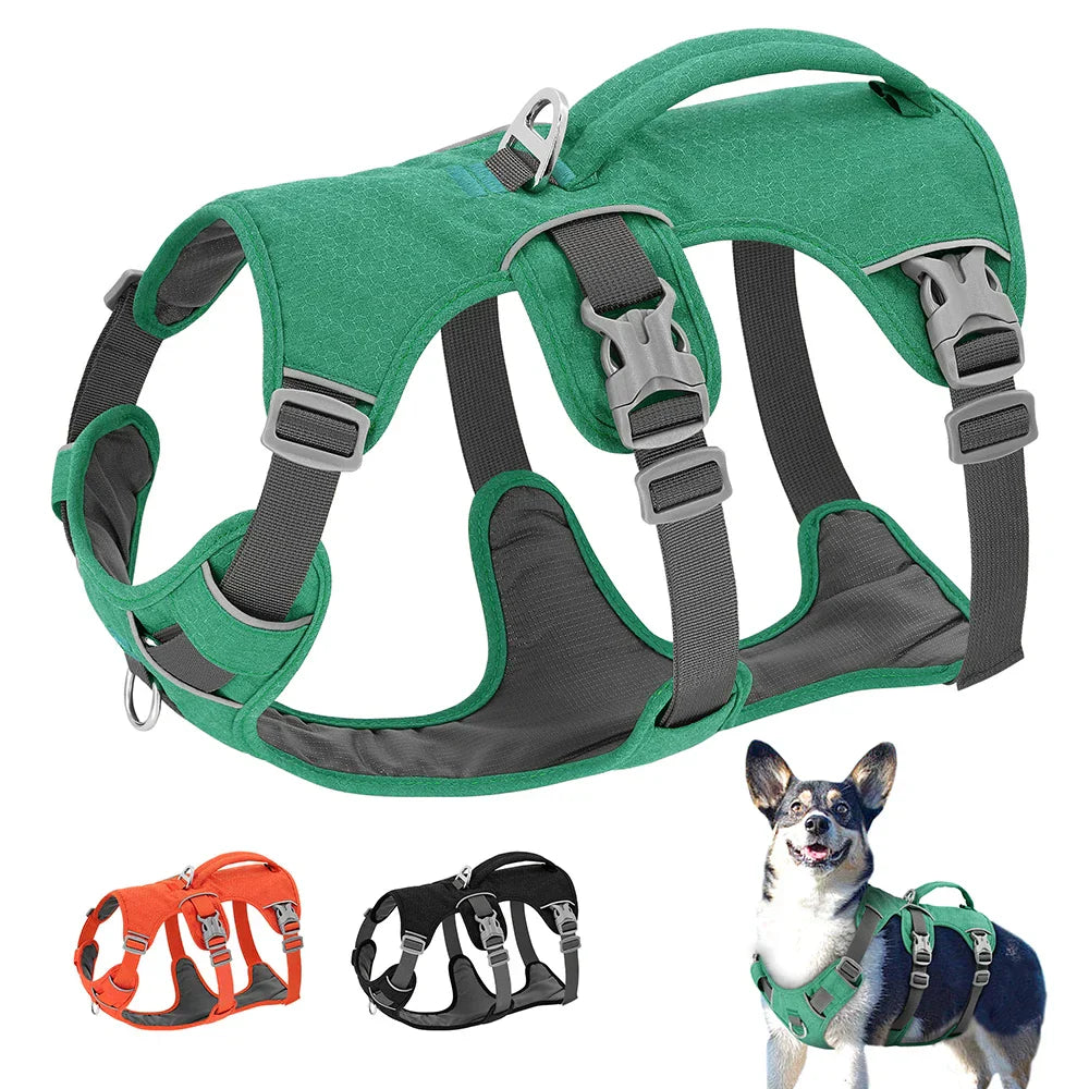 Grünes Hundegeschirr, verstellbar, robust, mit Griff, für mittelgroße Hunde.