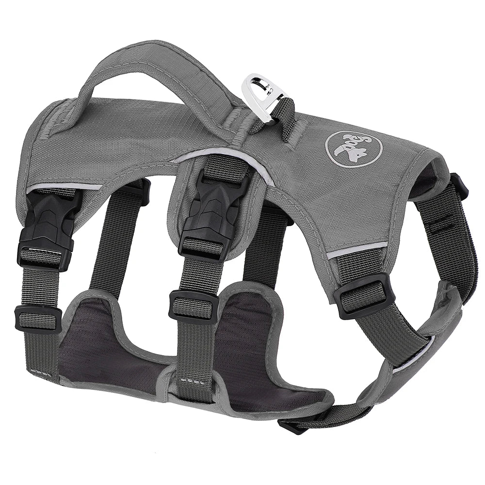 Graues Hundegeschirr, verstellbar, robustes Nylon, reflektierend, für Outdoor-Aktivitäten.