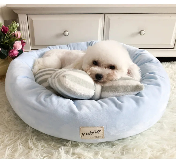 Weißer Hund in blauem, rundem Hundebett mit Kissen, flauschig, gemütlich, Haustierbedarf.