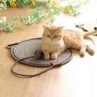 Braune Katze auf rundem, geflochtenem Katzenbett aus Seil auf Holzboden, umgeben von Blumen.