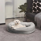 Weißer Hund in grauem Hundebett, Wohnzimmer, moderne Einrichtung, gemütlich, Haustierbedarf.