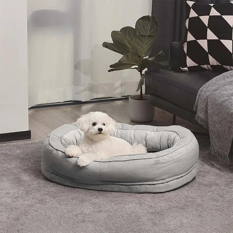 Weißer Hund in grauem Hundebett, Wohnzimmer, moderne Einrichtung, gemütlich, Haustierbedarf.