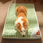 Hund auf grünem Hundebett mit Herzmotiv, bequemes Haustierbett, weiches Material, rechteckig.