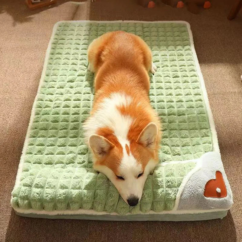 Hund auf grünem Hundebett mit Herzmotiv, bequemes Haustierbett, weiches Material, rechteckig.