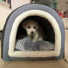 Kleiner weißer Hund in blauem, gepolstertem Hundebett mit kariertem Kissen, gemütlich und sicher.