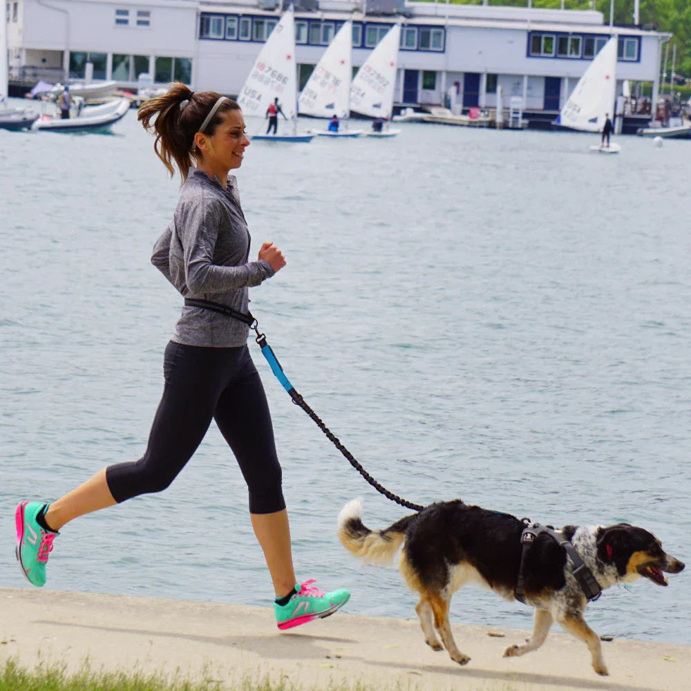Frau joggt mit Hund am See, Sportbekleidung, Segelboote im Hintergrund, Outdoor-Aktivität.