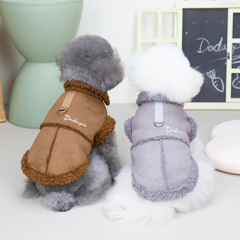 Zwei Hunde in modischen Wintermänteln, braun und grau, sitzen vor einer Tafel. Perfekte Hundebekleidung für kalte Tage.