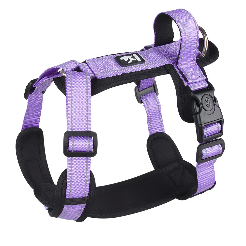 Lila Hundegeschirr, verstellbar, robustes Nylon, für mittelgroße Hunde, mit Schnallenverschluss.
