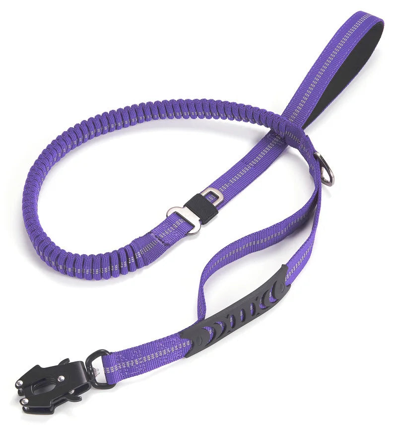 Lila Hundeleine, elastisch, reflektierend, mit Karabinerhaken, für sicheres Hundetraining.