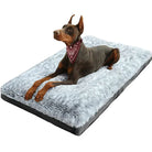 Dobermann auf grauem Hundebett, Plüsch, rechteckig, bequem, Haustierbedarf, Hundematte.