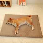 Hund auf braunem Plüsch-Hundebett, rechteckig, gemütlich, auf weißem Teppich liegend.