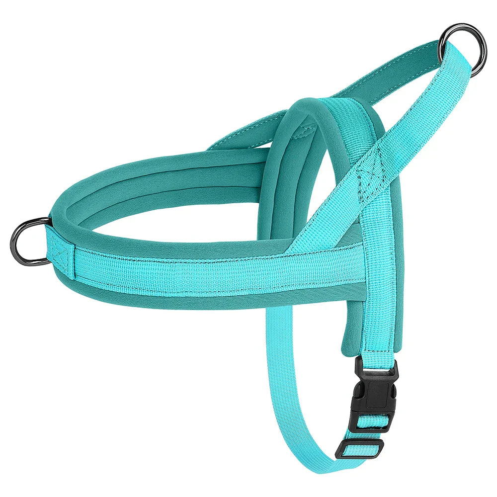 Türkises Hundegeschirr, verstellbar, gepolstert, robustes Nylon, für kleine bis mittelgroße Hunde.