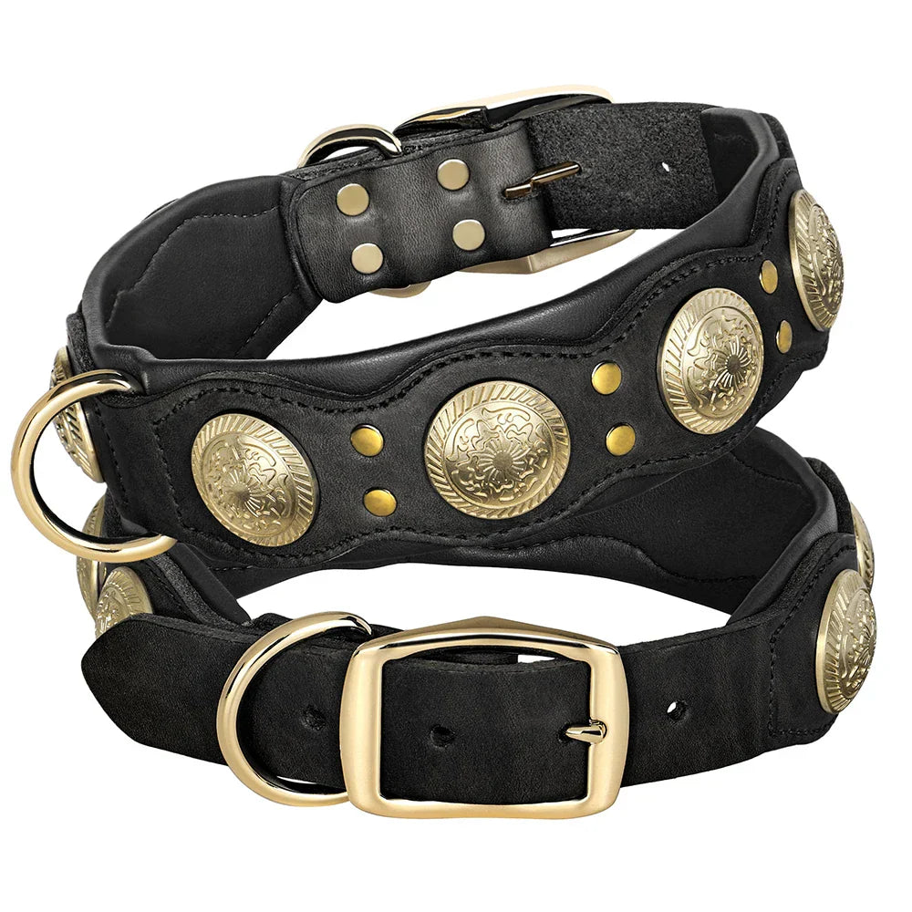 Schwarzes Lederhalsband mit goldenen Verzierungen, Hundehalsband, robust, stilvoll, verstellbar.