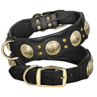 Schwarzes Lederhalsband mit goldenen Verzierungen, Hundehalsband, robust, stilvoll, verstellbar.