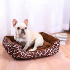 Französische Bulldogge auf braunem Hundebett mit Giraffenmuster, gemütlich, Haustierbedarf.