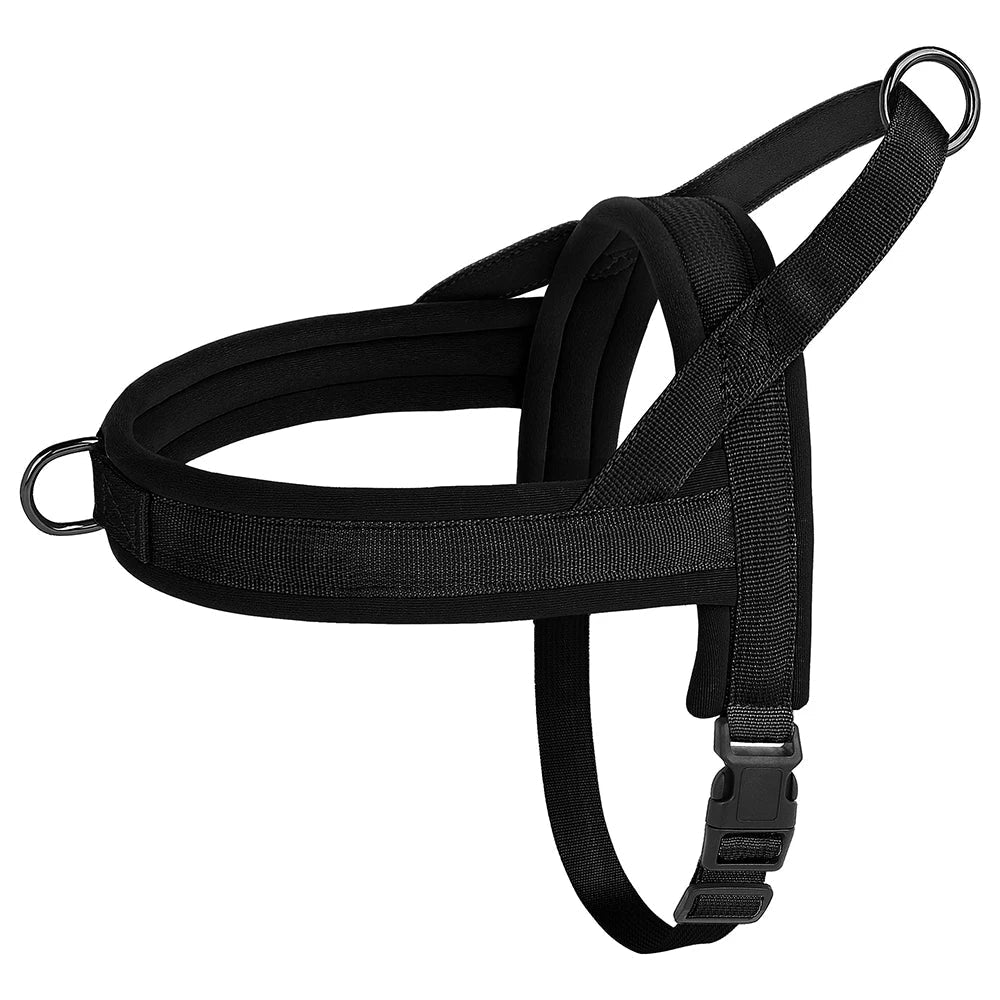 Schwarzes Hundegeschirr, verstellbar, strapazierfähig, mit Klickverschluss und D-Ringen.